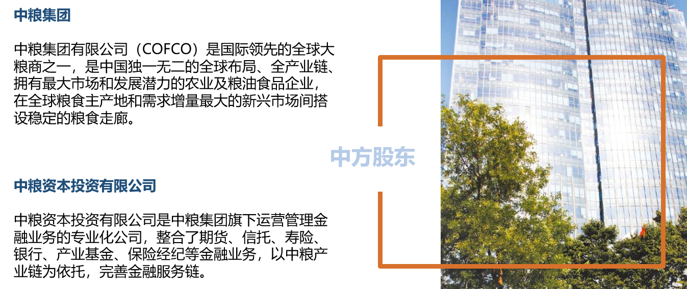 中英人寿鑫喜年年年金保险