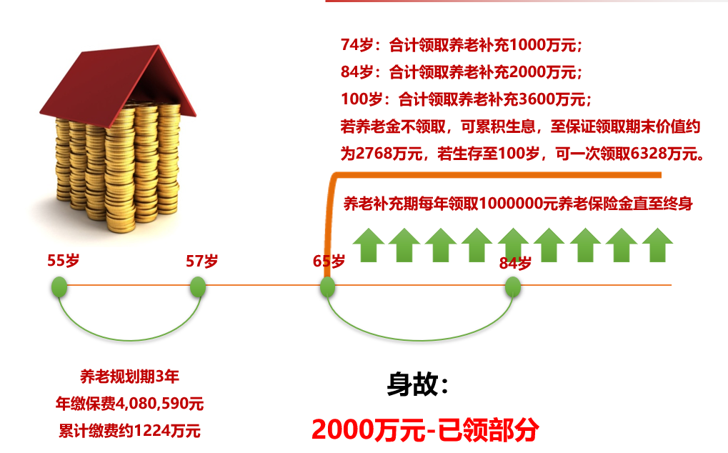 中华人寿福瑞一生养老年金保险