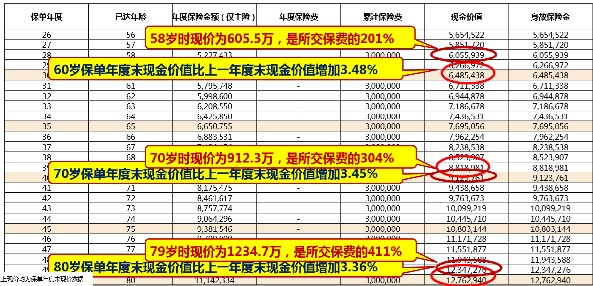 中意人寿永续我爱卓越版终身寿险
