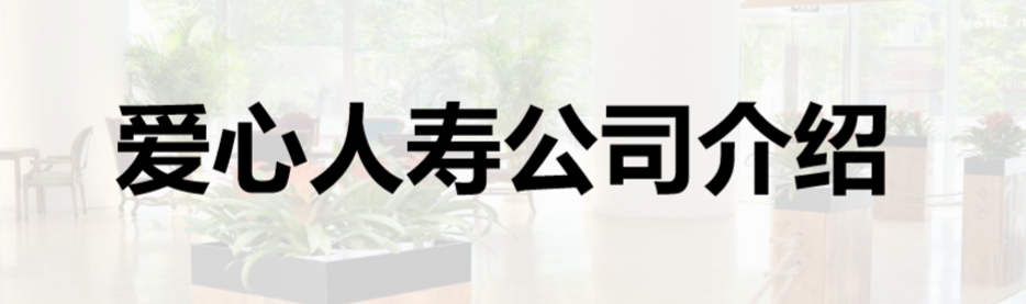 爱心人寿保险公司详细简介