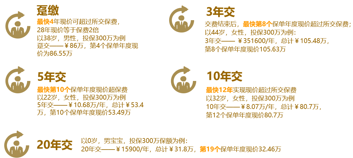瑞泰人寿瑞享金生终身寿险