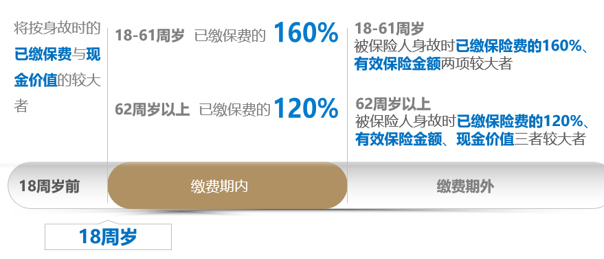 中荷人寿家业常青终身寿险保险
