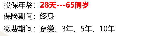 北京人寿京福颐年养老年金