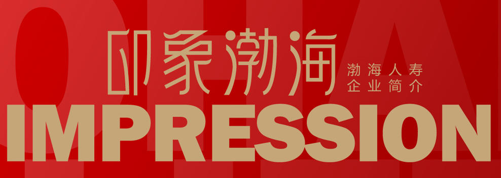 渤海人寿保险公司简介