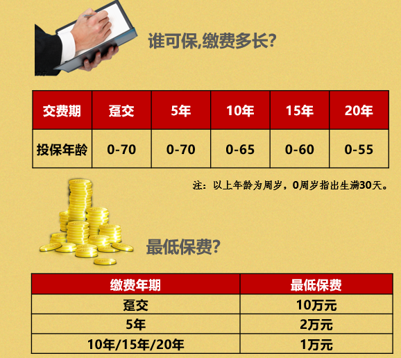 复星保德信爱意传承D终身寿险