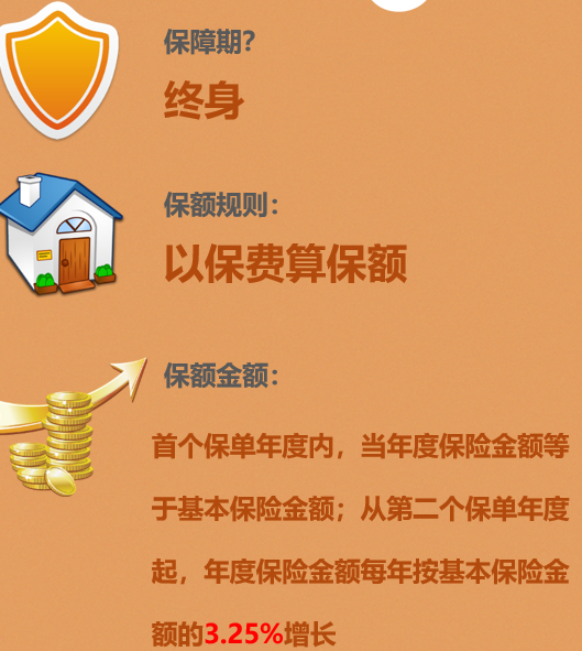 复星保德信爱意传承D终身寿险