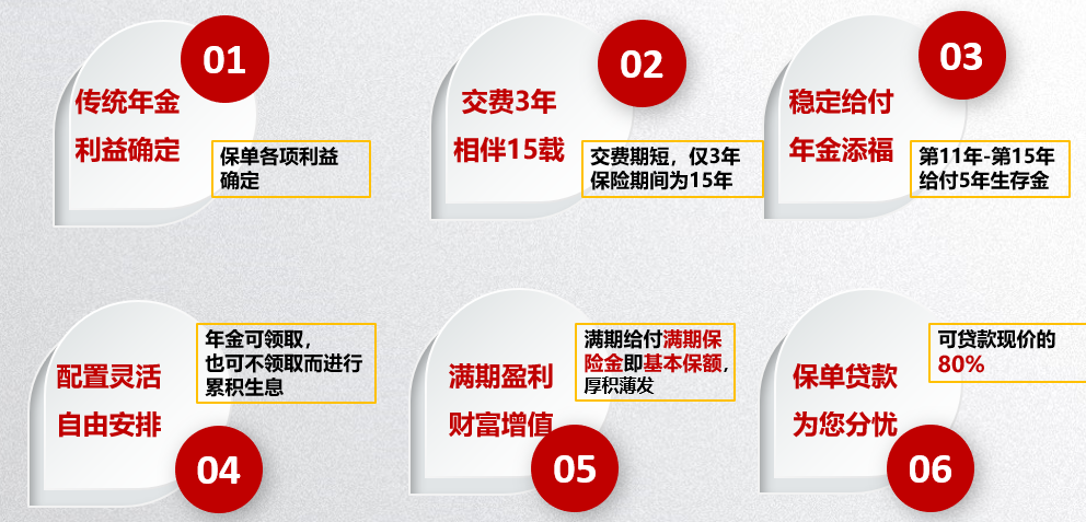恒安标准恒盈年年养老年金保险