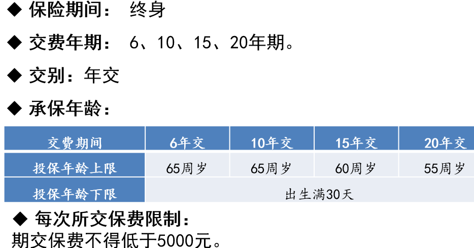 陆家嘴国泰兴泰一生终身寿险