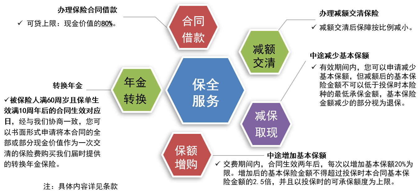 陆家嘴国泰兴泰一生终身寿险