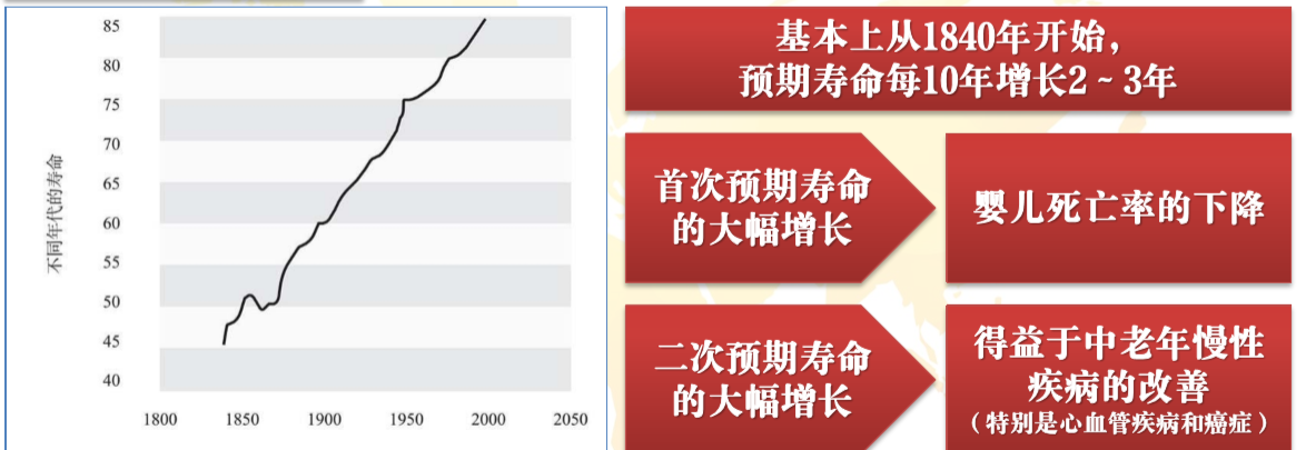 陆家嘴国泰安泰年年养老年金保险