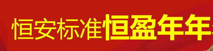 恒安标准恒盈年年养老年金保险